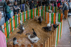 2026-10-17_foire_saint-luc_tydos-046