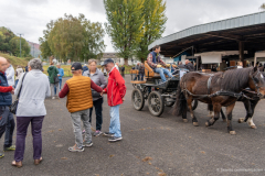 2026-10-17_foire_saint-luc_tydos-047