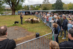 2026-10-17_foire_saint-luc_tydos-080