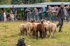 2026-10-17_foire_saint-luc_tydos-089