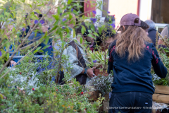 adopte_une_plante_automne_2026-10
