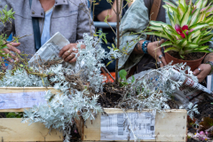 adopte_une_plante_automne_2026-11
