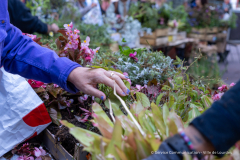 adopte_une_plante_automne_2026-13