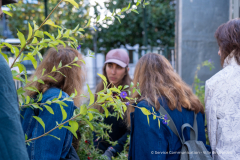 adopte_une_plante_automne_2026-15