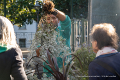 adopte_une_plante_automne_2026-3