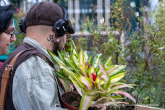 adopte_une_plante_automne_2026-5