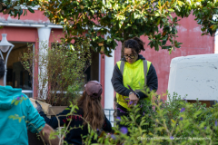 adopte_une_plante_automne_2026-6