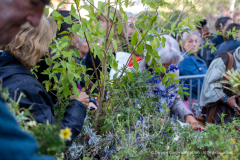 adopte_une_plante_automne_2026-7