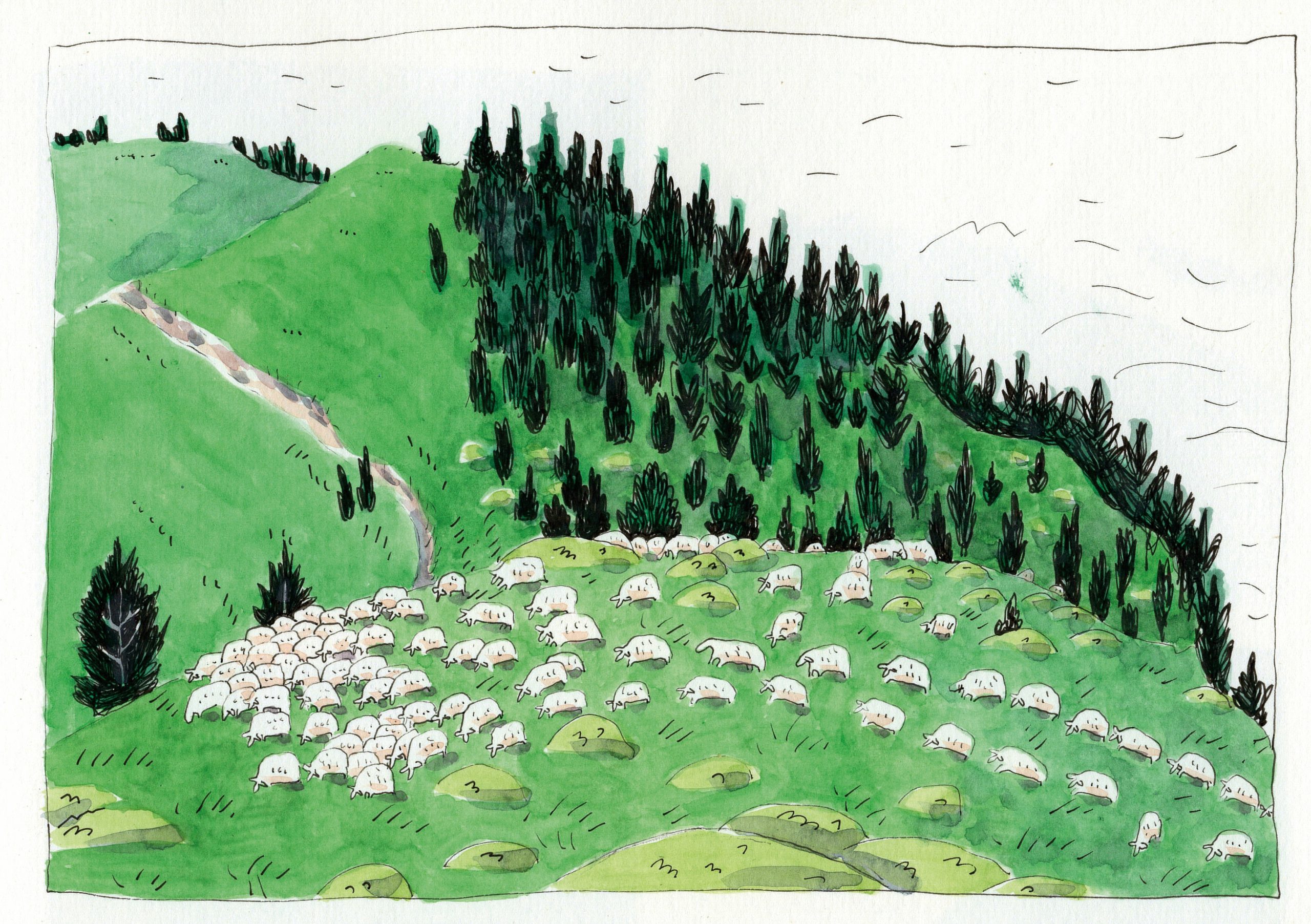 Conférence Appel d&rsquo;Air : « Bergère »