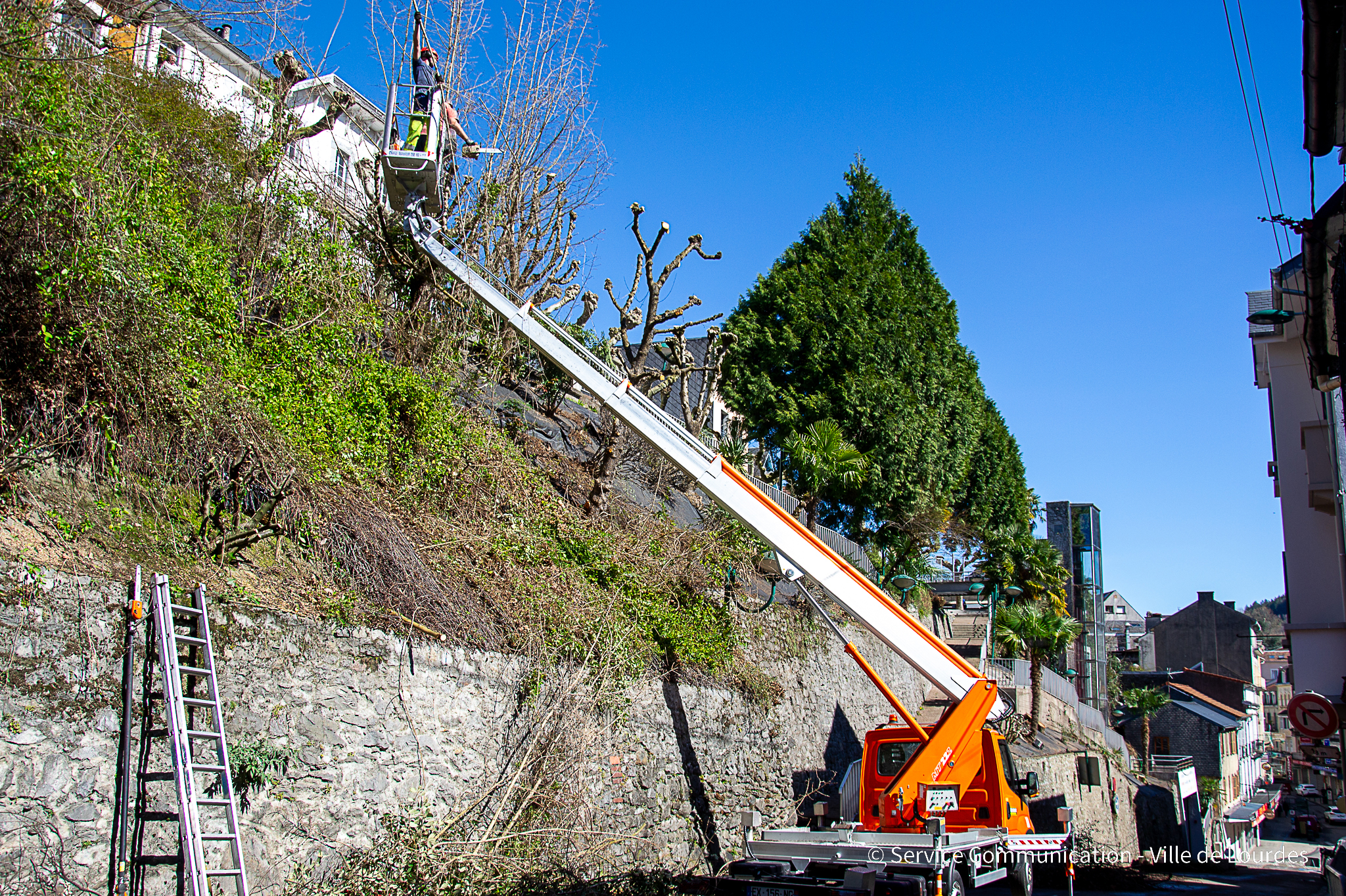 Travaux d&rsquo;élagage : Rue Latour de Brie, du lundi 2 au vendredi 13 février 2026