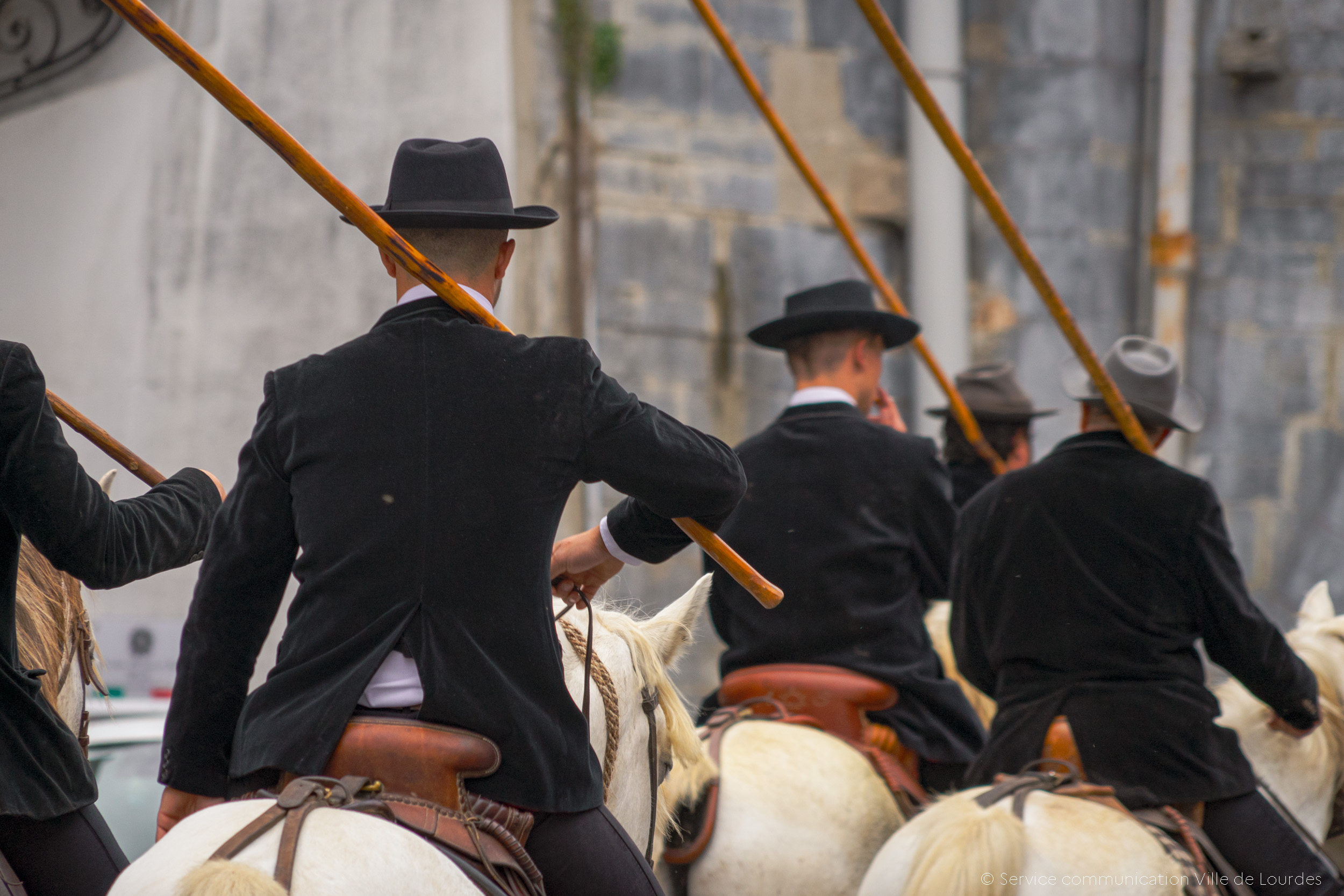 Pèlerinage des Gardians 2025 : un week-end de tradition équestre du 24 au 26 octobre
