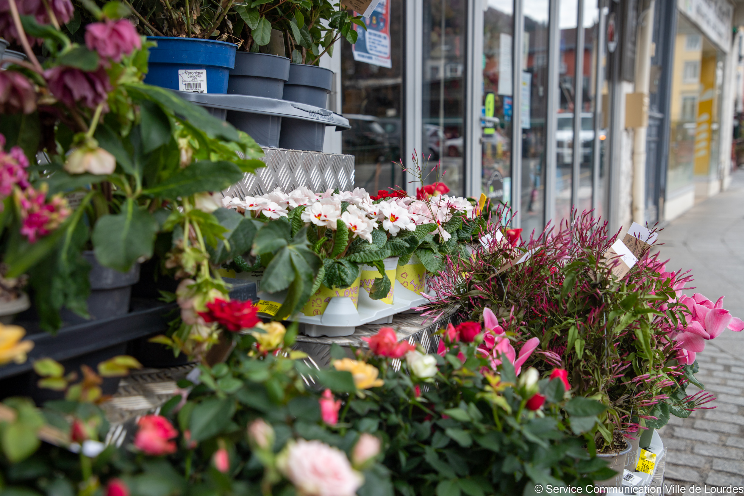 Rallye de la Saint-Valentin (3e édition)