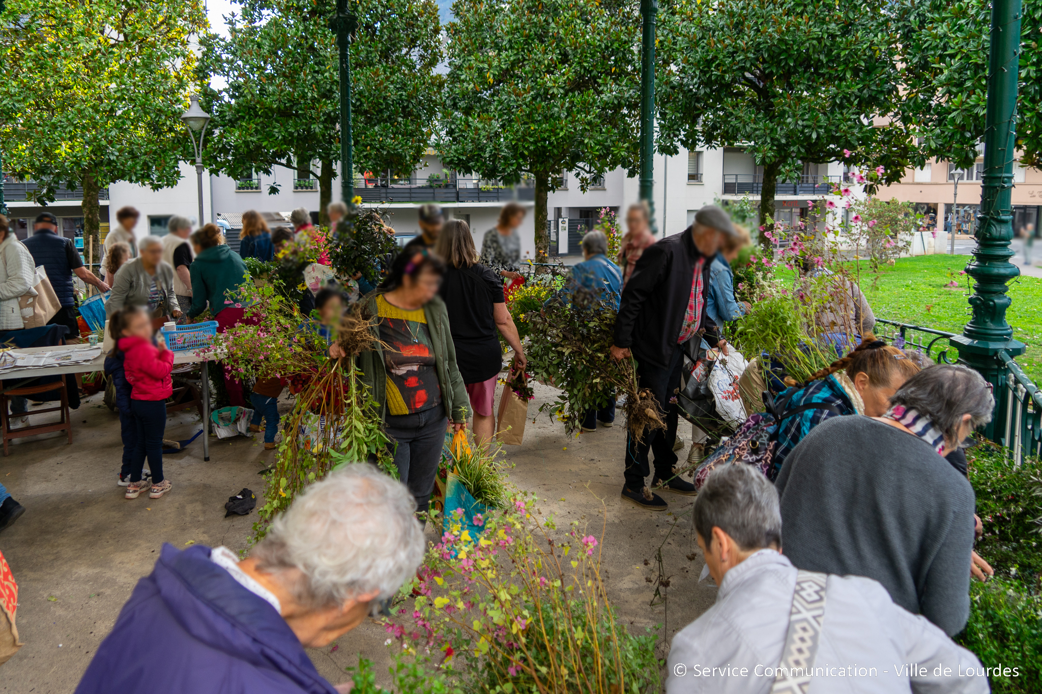 Adopte une plante : Participez au fleurissement et à la végétalisation de la ville