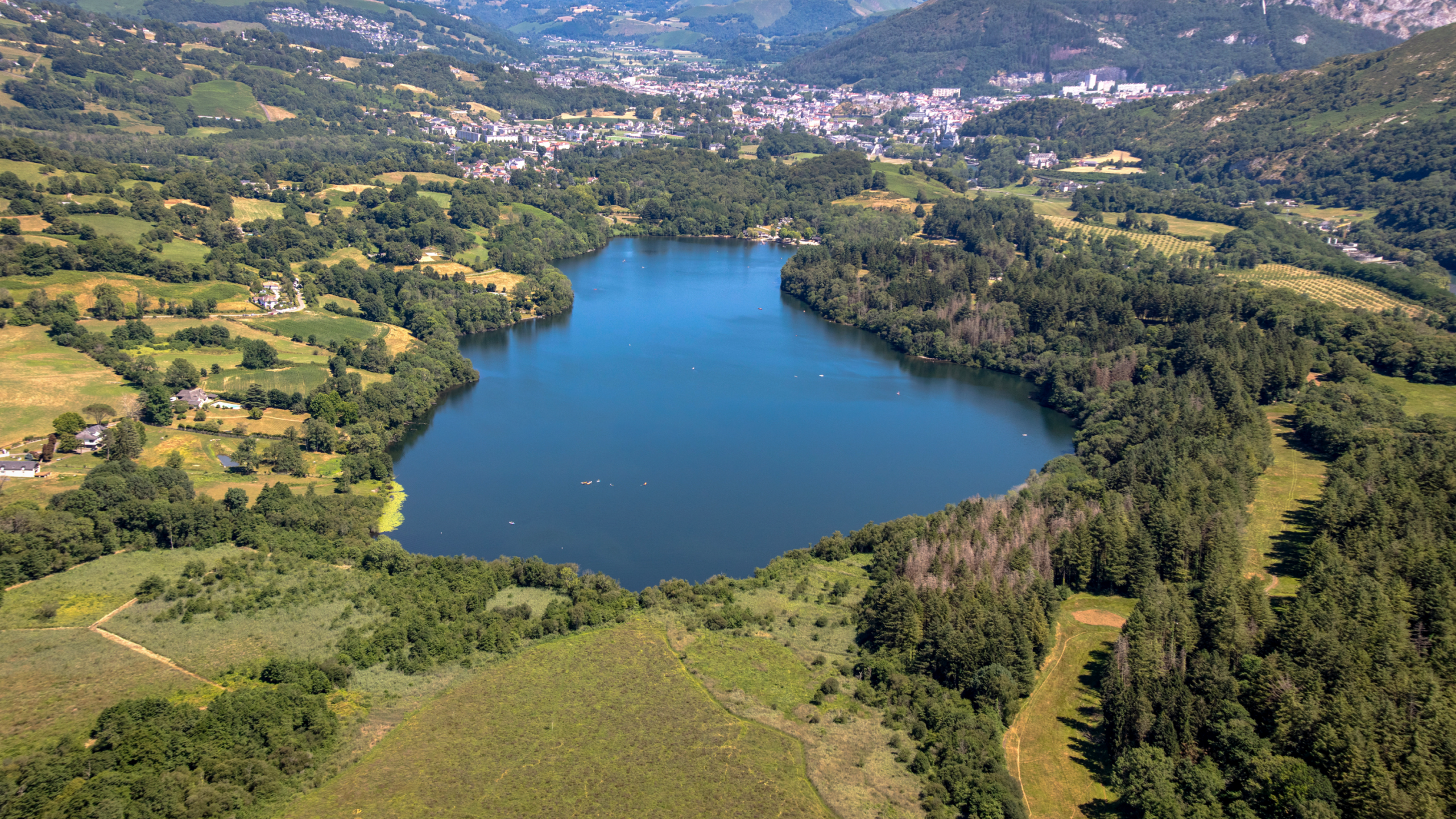 Au lac, les travaux de sécurisation des espaces boisés vont débuter