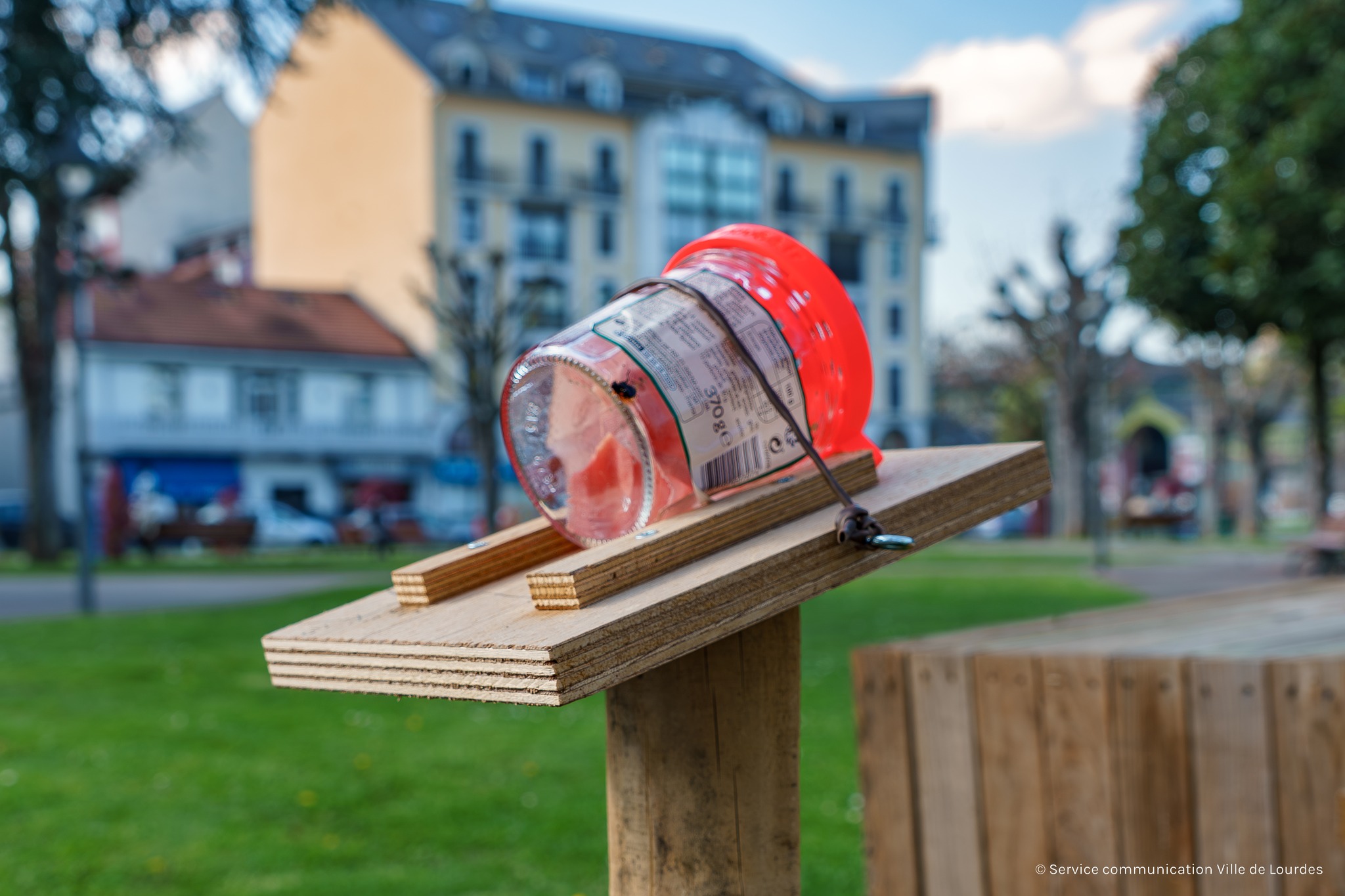 Ces pièges discrets qui veillent sur les abeilles