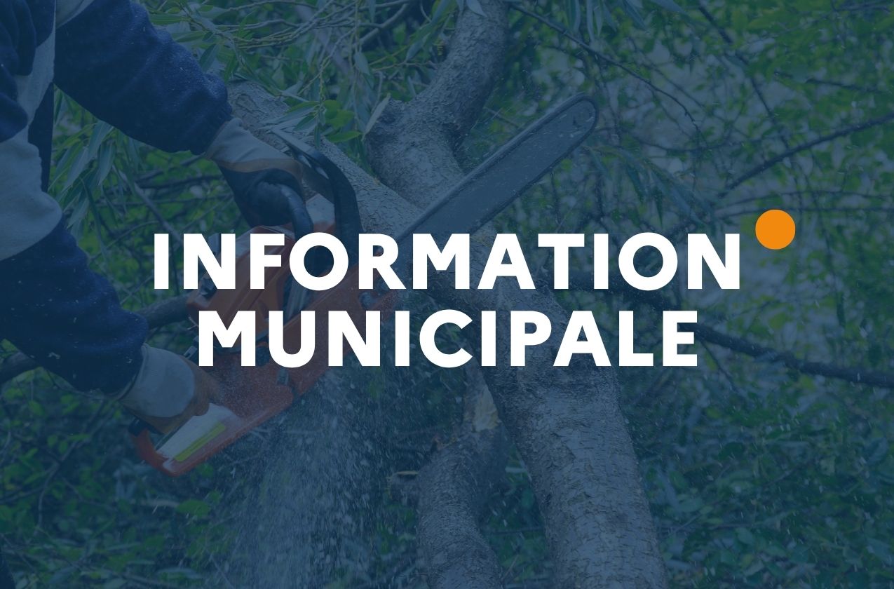 Travaux de débroussaillage, lundi 24 novembre 2025, rue de l’Égalité