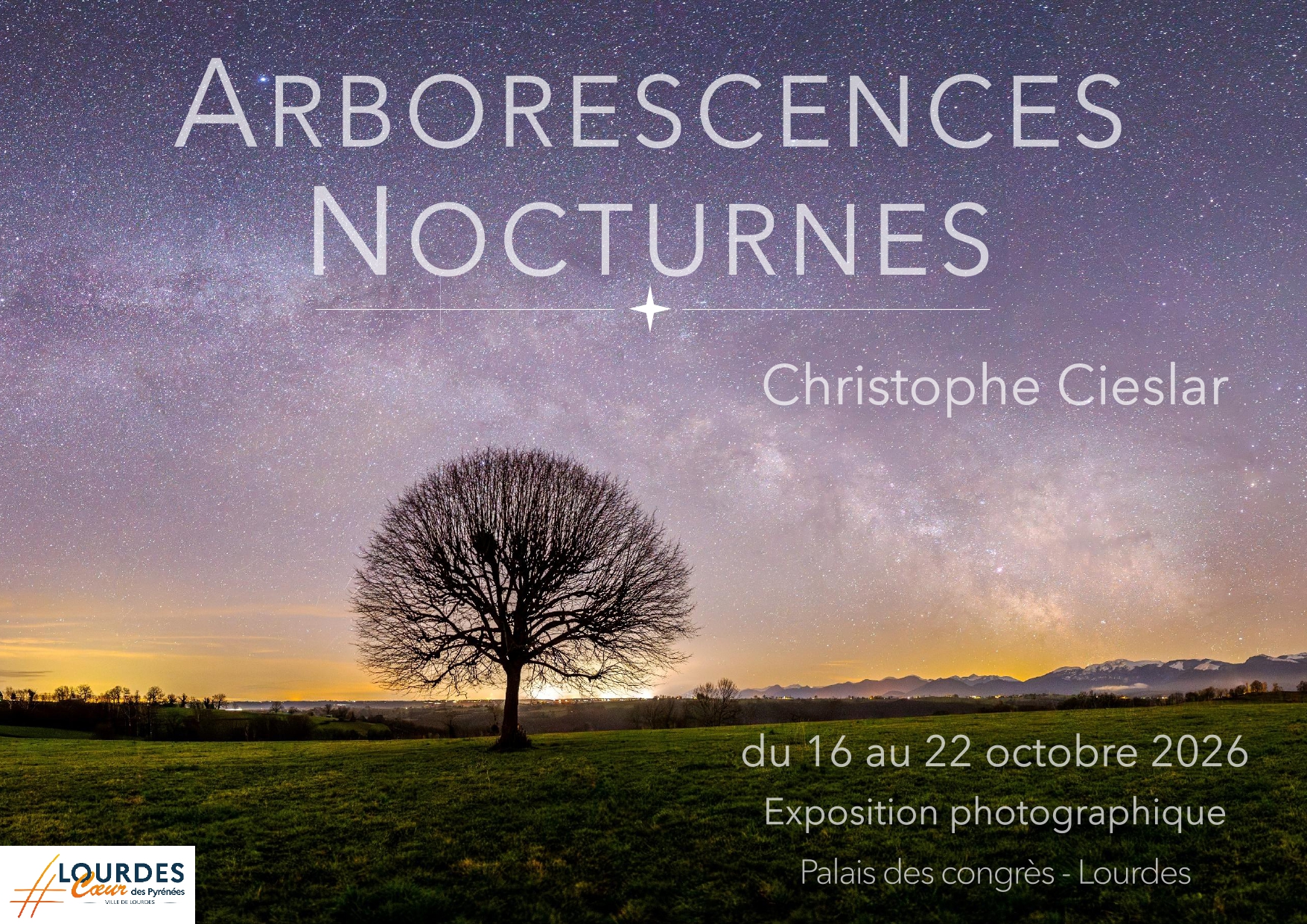 Vernissage de l&rsquo;exposition « Arborescences nocturnes » par Christophe Cieslar