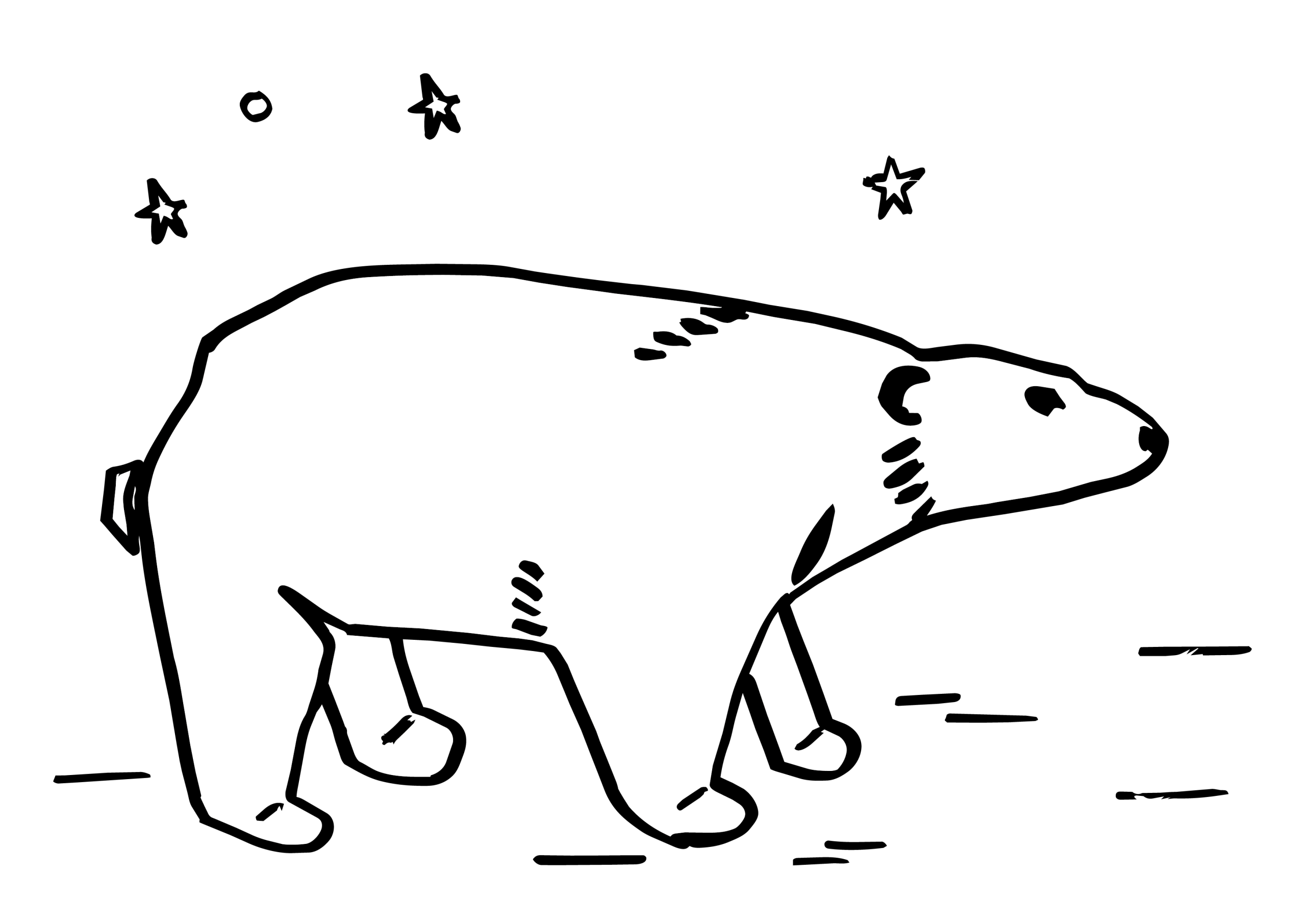 Blanc, Cie de la Tong &ndash; illustration d&rsquo;un ours polaire