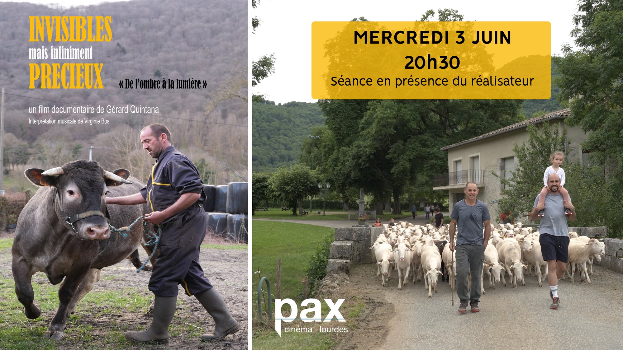 « Invisibles mais infiniment précieux » au cinéma Pax