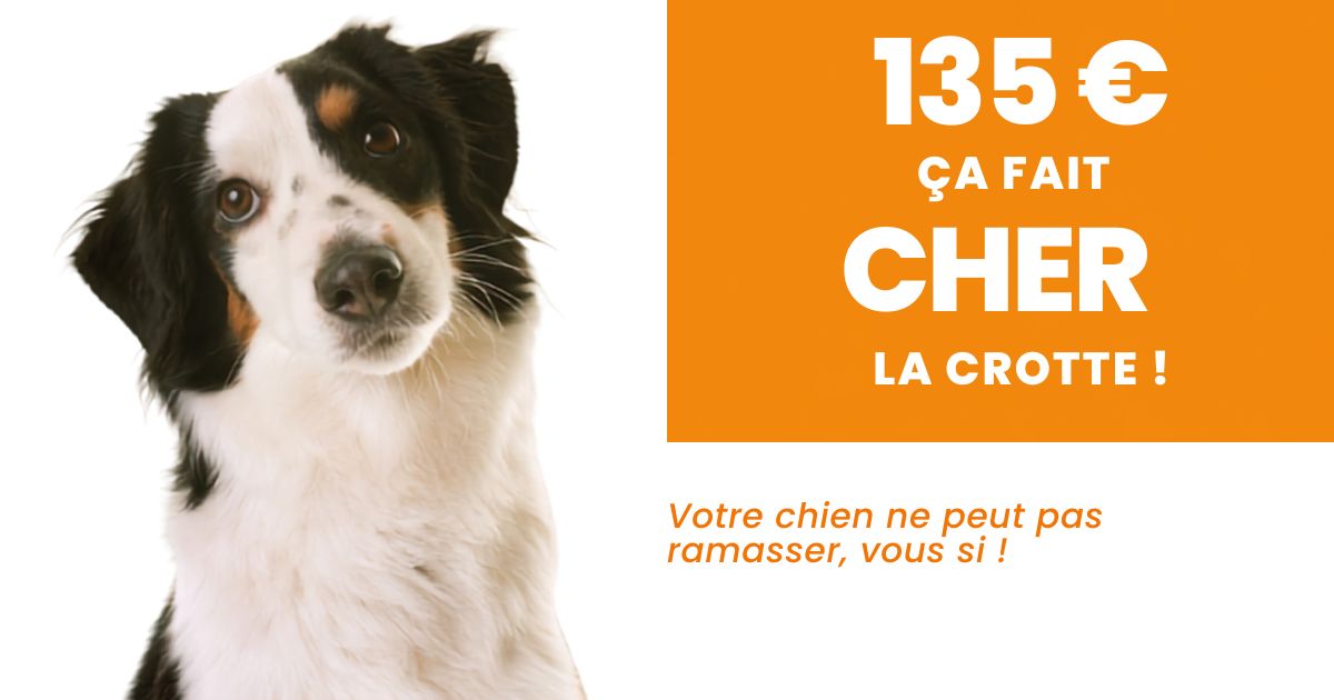 Campagne « Ville propre »