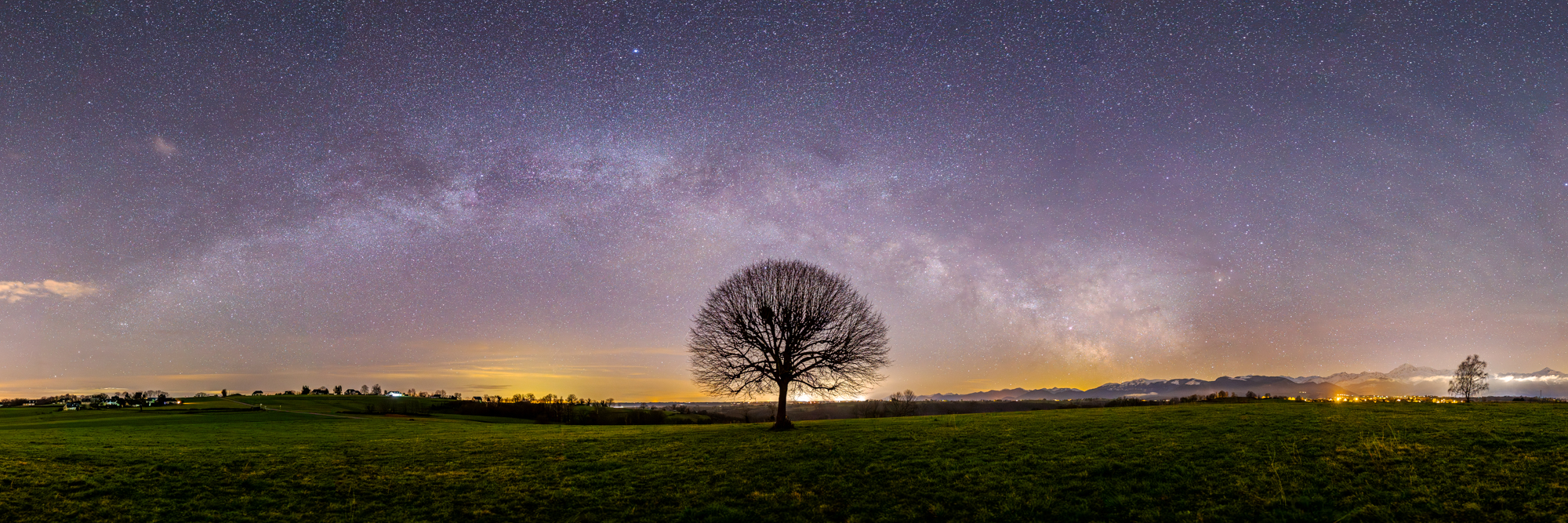« Arborescences nocturnes » par Christophe Cieslar